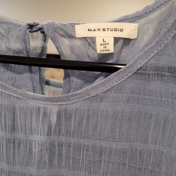 Max Studio Womens Cambray Stripe Sheer-yoke Crew Neck Blouse Size L - Picture 4 of 6